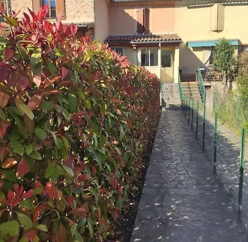 Belles Prestations En Cevennes Chamborigaud